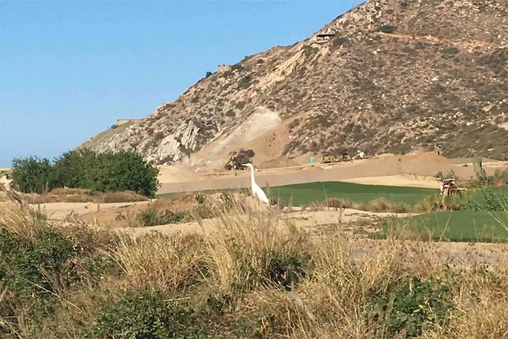 Apartament Mavila At Quivira Golf & Sea Community Plus Pb Beach Access On Medano Beach Cabo San Lucas Meksyk