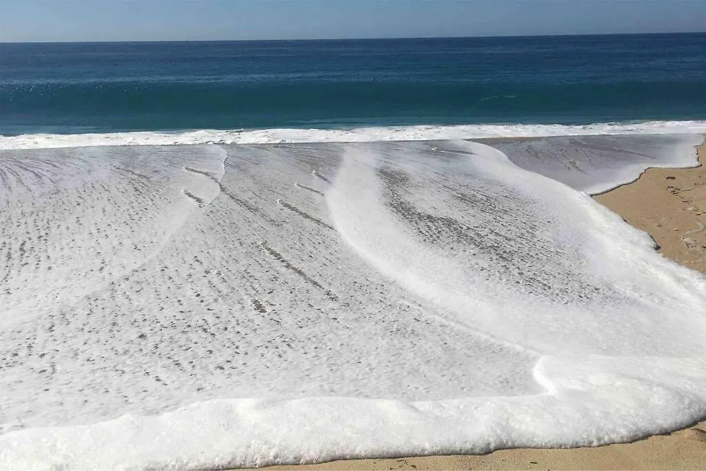 Apartament Mavila At Quivira Golf & Sea Community Plus Pb Beach Access On Medano Beach Cabo San Lucas